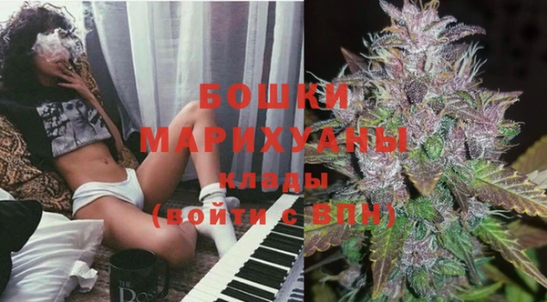 ПСИЛОЦИБИНОВЫЕ ГРИБЫ Бронницы