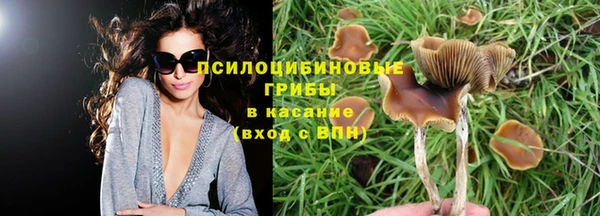 гашиш Бородино