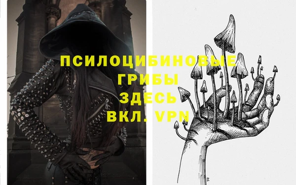 ПСИЛОЦИБИНОВЫЕ ГРИБЫ Бронницы
